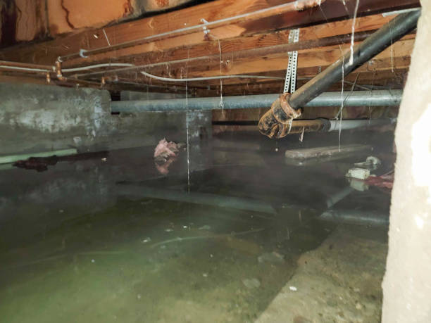 Water damage restoration mold remediation in MN