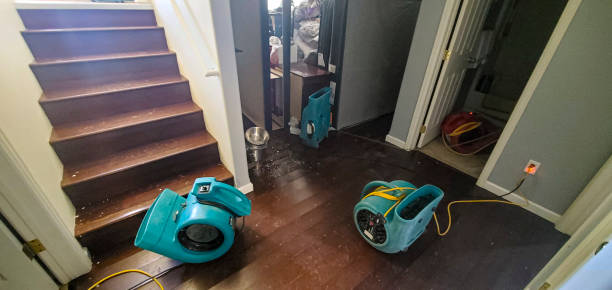 Best Fire Damage Restoration  in Nowthen, MN