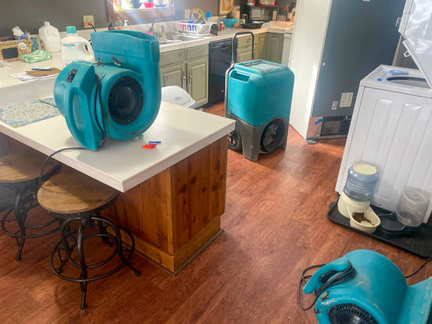 Best 24-hour water damage restoration  in Nowthen, MN