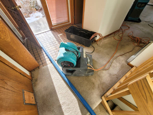 Best Basement water damage restoration  in Nowthen, MN