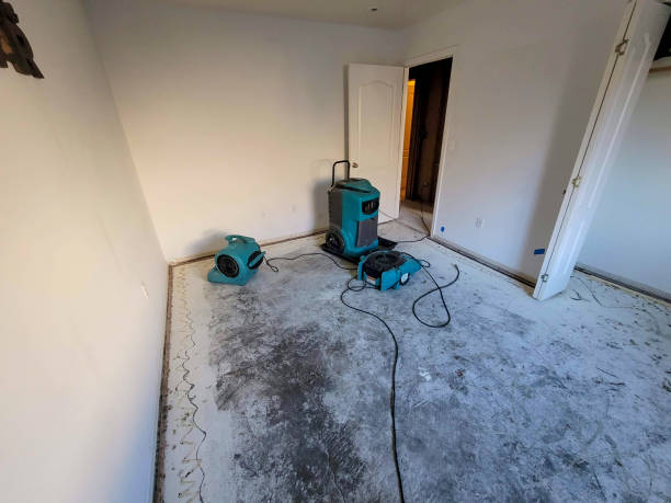  Nowthen, MN Water damage restoration Pros