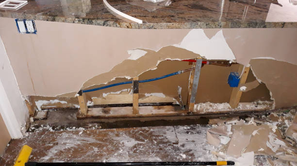 Best Water damage restoration insurance claims  in Nowthen, MN