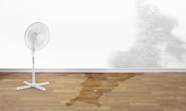 Best Sewage cleanup and water damage restoration  in Nowthen, MN