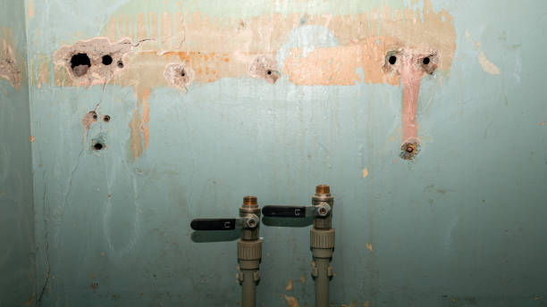 Best Water damage restoration process  in Nowthen, MN