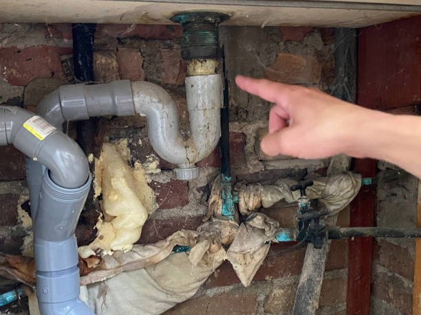 Best Ceiling water damage repair  in Nowthen, MN