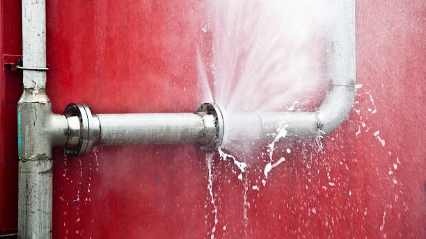 Best Emergency water damage restoration  in Nowthen, MN